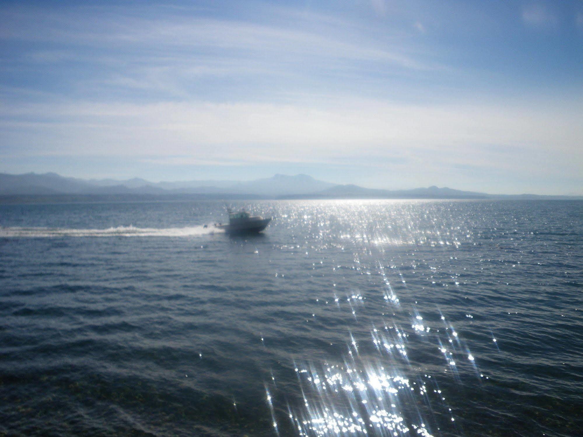 Orca Lodge Sointula Bagian luar foto