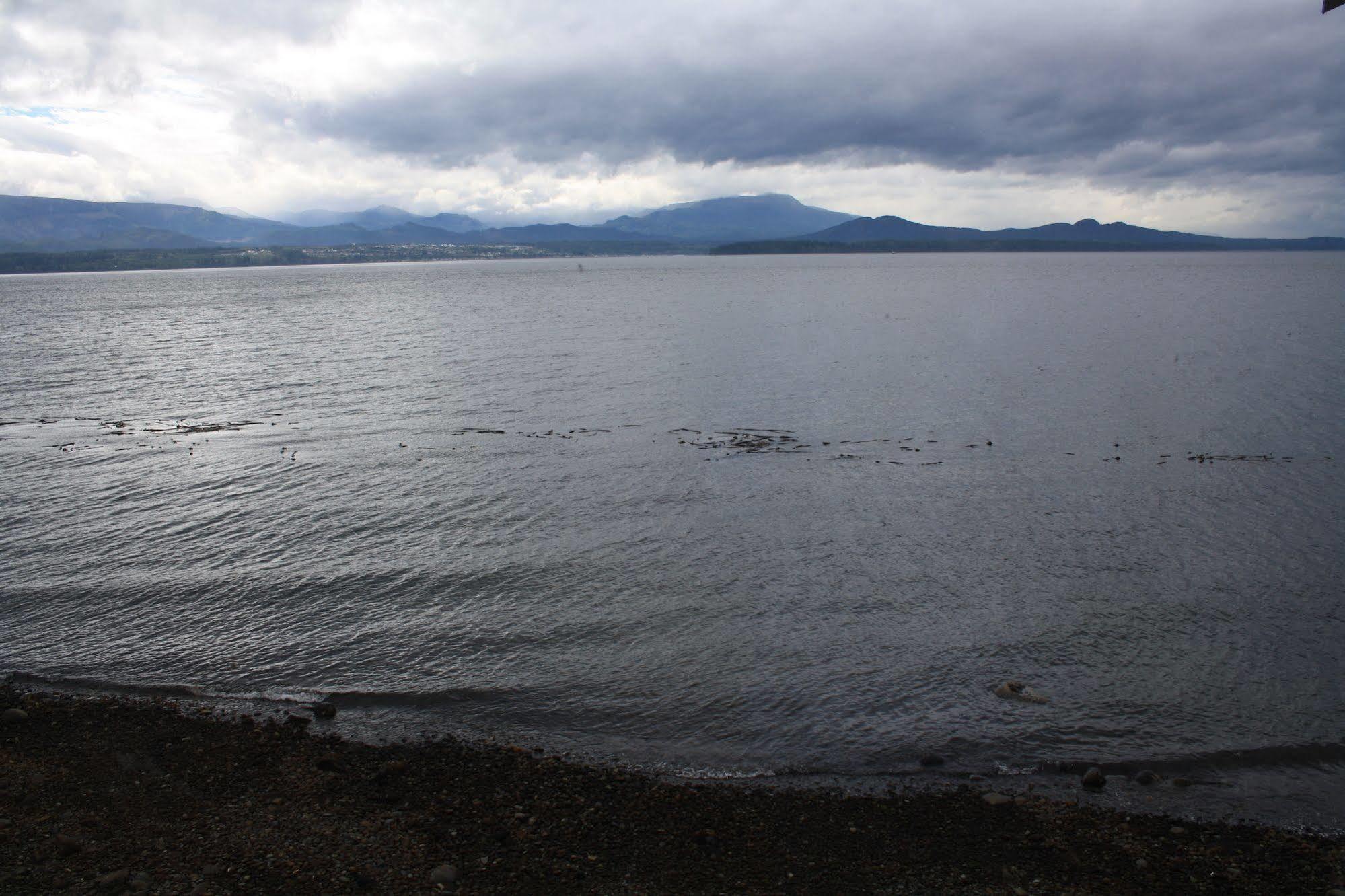 Orca Lodge Sointula Bagian luar foto